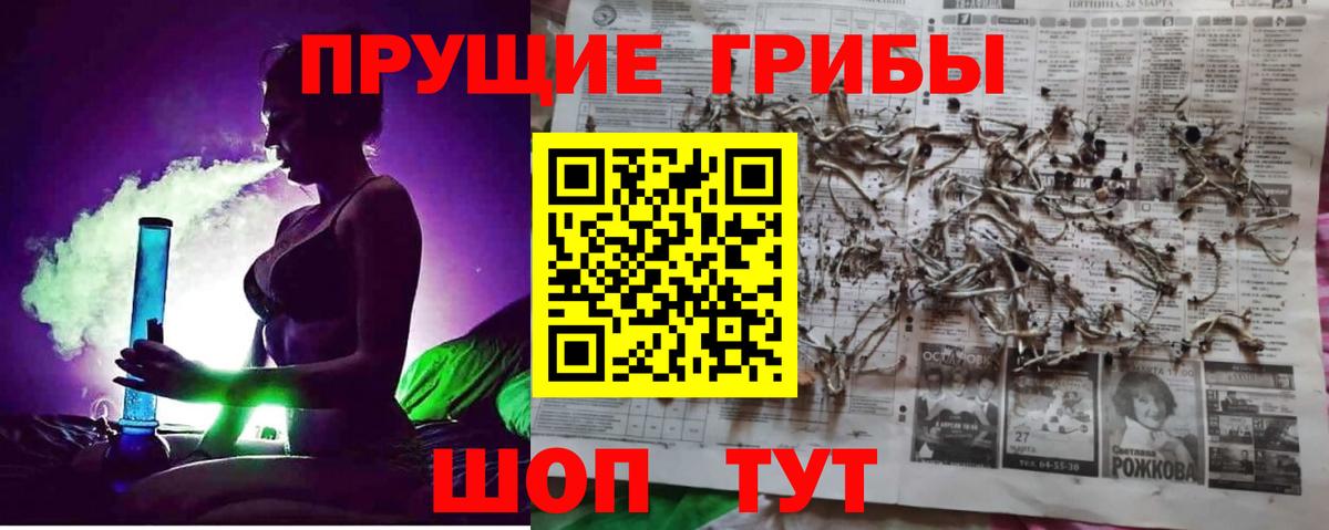Псилоцибиновые грибы мицелий Волгодонск